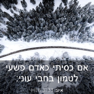 Picture 03 - איוב 31:33 HEB - אם כסיתי כאדם פשעי לטמון - Bible Verse Picture