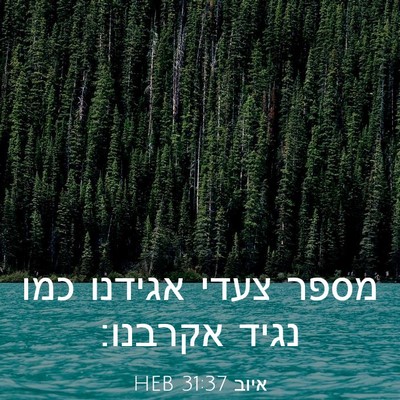 Picture 03 - איוב 31:37 HEB - מספר צעדי אגידנו כמו נגיד - Bible Verse Picture