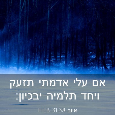Picture 03 - איוב 31:38 HEB - אם עלי אדמתי תזעק ויחד - Bible Verse Picture