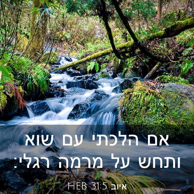 Picture 03 - איוב 31:5 HEB - אם הלכתי עם שוא ותחש על - Bible Verse Picture