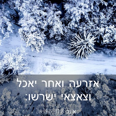 Picture 03 - איוב 31:8 HEB - אזרעה ואחר יאכל וצאצאי - Bible Verse Picture