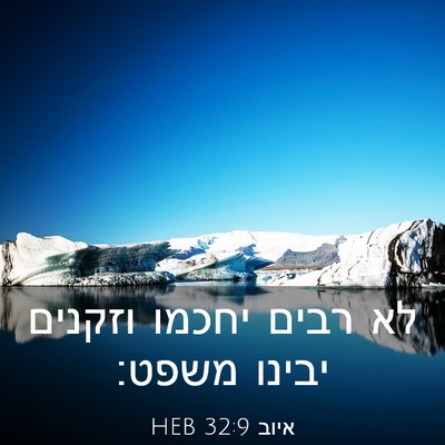 Picture 03 - איוב 32:9 HEB - לא רבים יחכמו וזקנים יבינו - Bible Verse Picture