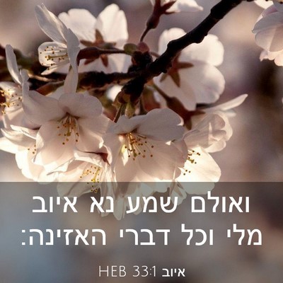 Picture 03 - איוב 33:1 HEB - ואולם שמע נא איוב מלי וכל - Bible Verse Picture