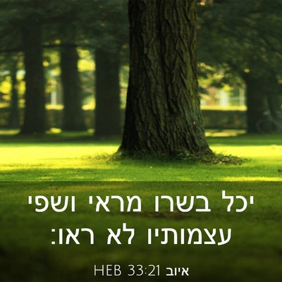 Picture 03 - איוב 33:21 HEB - יכל בשרו מראי ושפי עצמותיו - Bible Verse Picture