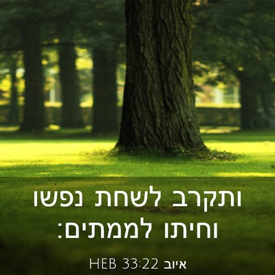 Picture 03 - איוב 33:22 HEB - ותקרב לשחת נפשו וחיתו - Bible Verse Picture