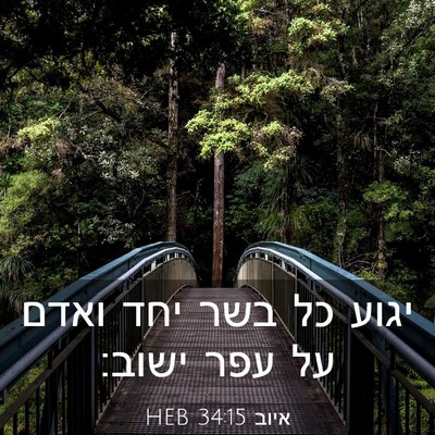 Picture 03 - איוב 34:15 HEB - יגוע כל בשר יחד ואדם על עפר - Bible Verse Picture