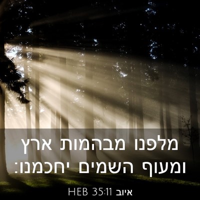 Picture 03 - איוב 35:11 HEB - מלפנו מבהמות ארץ ומעוף - Bible Verse Picture