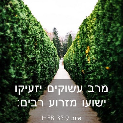 Picture 03 - איוב 35:9 HEB - מרב עשוקים יזעיקו ישועו - Bible Verse Picture