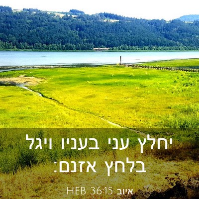 Picture 03 - איוב 36:15 HEB - יחלץ עני בעניו ויגל בלחץ - Bible Verse Picture