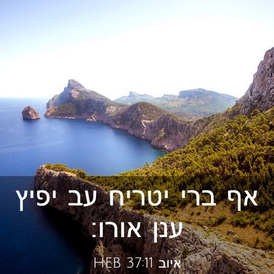 Picture 03 - איוב 37:11 HEB - אף ברי יטריח עב יפיץ ענן - Bible Verse Picture