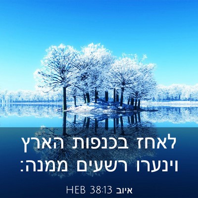 Picture 03 - איוב 38:13 HEB - לאחז בכנפות הארץ וינערו - Bible Verse Picture