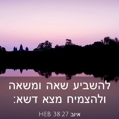 Picture 03 - איוב 38:27 HEB - להשביע שאה ומשאה ולהצמיח - Bible Verse Picture