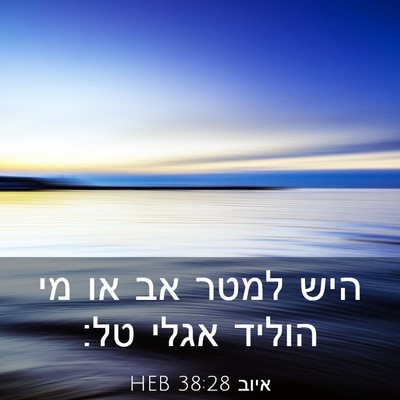 Picture 03 - איוב 38:28 HEB - היש למטר אב או מי הוליד - Bible Verse Picture