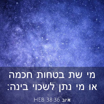 Picture 03 - איוב 38:36 HEB - מי שת בטחות חכמה או מי נתן - Bible Verse Picture