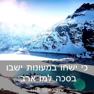 Picture 03 - איוב 38:40 HEB - כי ישחו במעונות ישבו בסכה - Bible Verse Picture