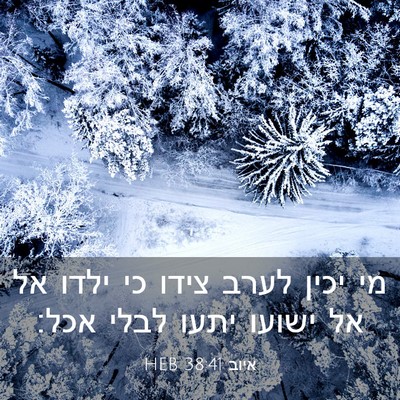 Picture 03 - איוב 38:41 HEB - מי יכין לערב צידו כי ילדו - Bible Verse Picture