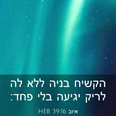 Picture 03 - איוב 39:16 HEB - הקשיח בניה ללא לה לריק - Bible Verse Picture