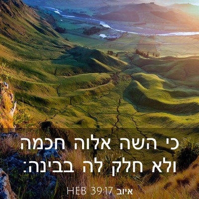 Picture 03 - איוב 39:17 HEB - כי השה אלוה חכמה ולא חלק לה - Bible Verse Picture