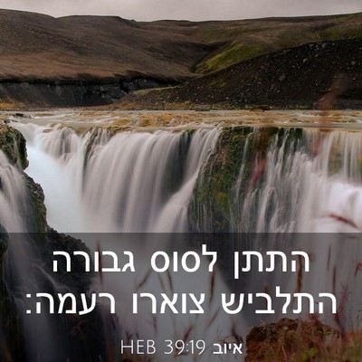 Picture 03 - איוב 39:19 HEB - התתן לסוס גבורה התלביש - Bible Verse Picture