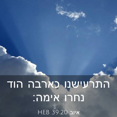 Picture 03 - איוב 39:20 HEB - התרעישנו כארבה הוד נחרו - Bible Verse Picture