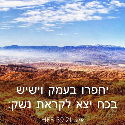 Picture 03 - איוב 39:21 HEB - יחפרו בעמק וישיש בכח יצא - Bible Verse Picture