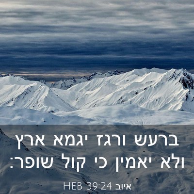 Picture 03 - איוב 39:24 HEB - ברעש ורגז יגמא ארץ ולא - Bible Verse Picture