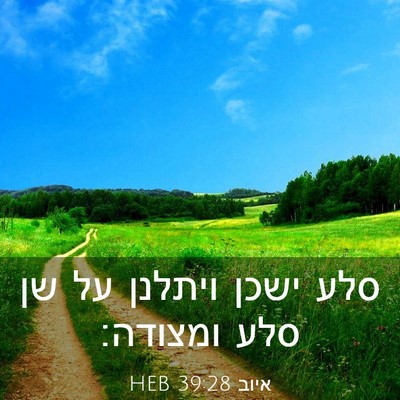 Picture 03 - איוב 39:28 HEB - סלע ישכן ויתלנן על שן סלע - Bible Verse Picture