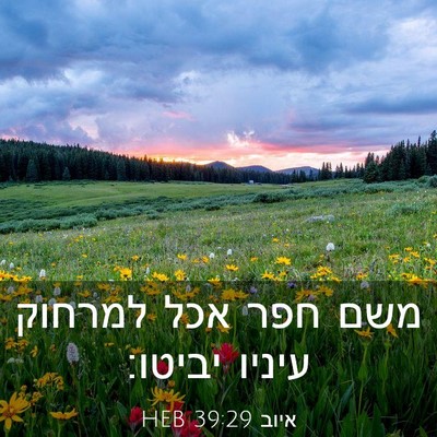 Picture 03 - איוב 39:29 HEB - משם חפר אכל למרחוק עיניו - Bible Verse Picture