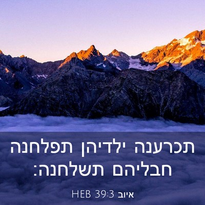 Picture 03 - איוב 39:3 HEB - תכרענה ילדיהן תפלחנה - Bible Verse Picture