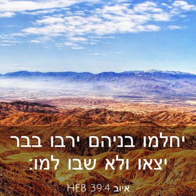Picture 03 - איוב 39:4 HEB - יחלמו בניהם ירבו בבר יצאו - Bible Verse Picture