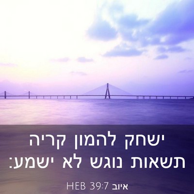 Picture 03 - איוב 39:7 HEB - ישחק להמון קריה תשאות נוגש - Bible Verse Picture