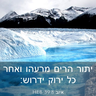Picture 03 - איוב 39:8 HEB - יתור הרים מרעהו ואחר כל - Bible Verse Picture