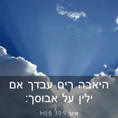 Picture 03 - איוב 39:9 HEB - היאבה רים עבדך אם ילין על - Bible Verse Picture