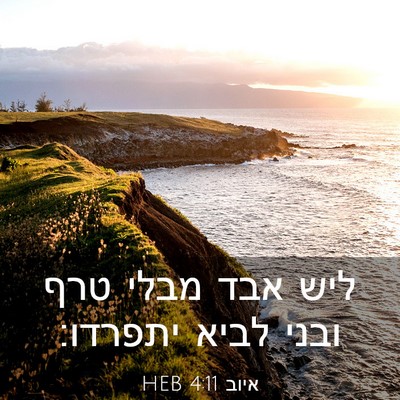 Picture 03 - איוב 4:11 HEB - ליש אבד מבלי טרף ובני לביא - Bible Verse Picture