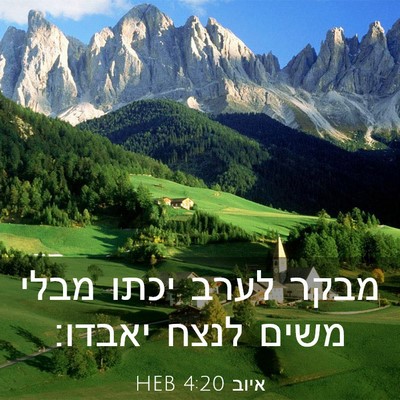 Picture 03 - איוב 4:20 HEB - מבקר לערב יכתו מבלי משים - Bible Verse Picture