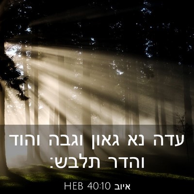Picture 03 - איוב 40:10 HEB - עדה נא גאון וגבה והוד והדר - Bible Verse Picture