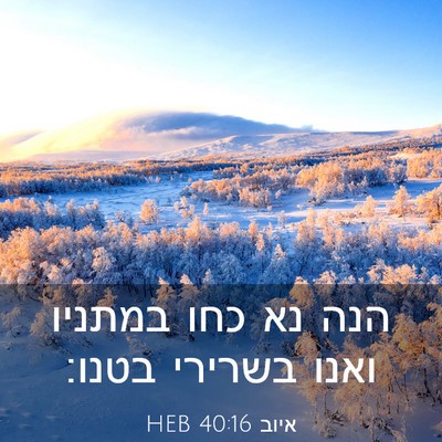 Picture 03 - איוב 40:16 HEB - הנה נא כחו במתניו ואנו - Bible Verse Picture