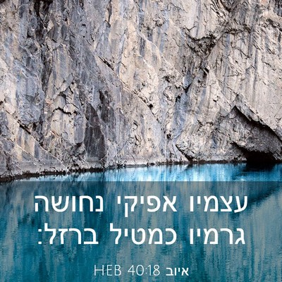 Picture 03 - איוב 40:18 HEB - עצמיו אפיקי נחושה גרמיו - Bible Verse Picture