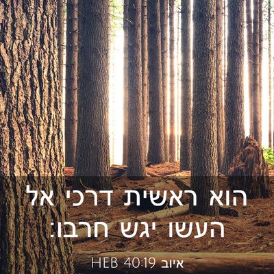 Picture 03 - איוב 40:19 HEB - הוא ראשית דרכי אל העשו יגש - Bible Verse Picture