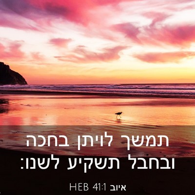 Picture 03 - איוב 41:1 HEB - תמשך לויתן בחכה ובחבל - Bible Verse Picture