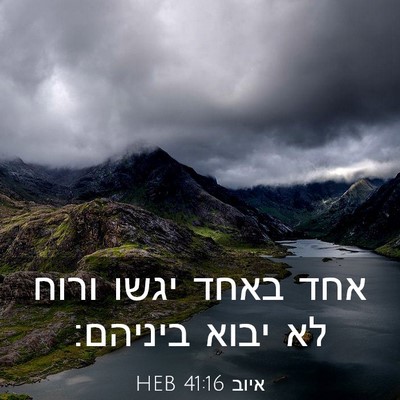 Picture 03 - איוב 41:16 HEB - אחד באחד יגשו ורוח לא יבוא - Bible Verse Picture