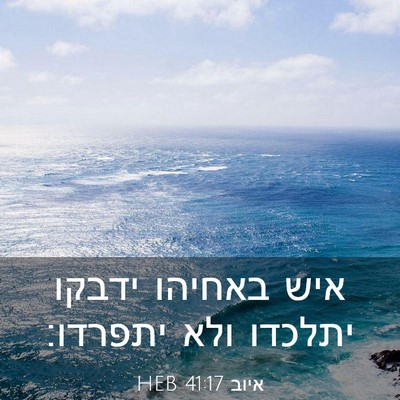 Picture 03 - איוב 41:17 HEB - איש באחיהו ידבקו יתלכדו - Bible Verse Picture