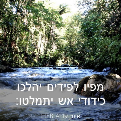 Picture 03 - איוב 41:19 HEB - מפיו לפידים יהלכו כידודי - Bible Verse Picture