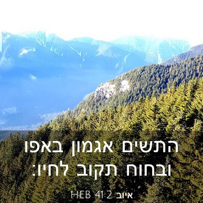 Picture 03 - איוב 41:2 HEB - התשים אגמון באפו ובחוח - Bible Verse Picture
