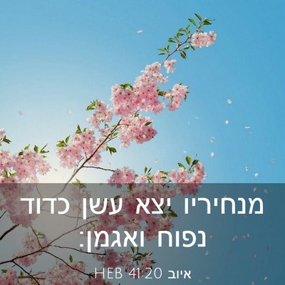 Picture 03 - איוב 41:20 HEB - מנחיריו יצא עשן כדוד נפוח - Bible Verse Picture