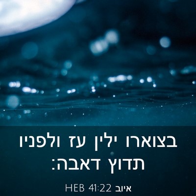 Picture 03 - איוב 41:22 HEB - בצוארו ילין עז ולפניו תדוץ - Bible Verse Picture