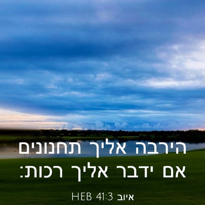 Picture 03 - איוב 41:3 HEB - הירבה אליך תחנונים אם ידבר - Bible Verse Picture