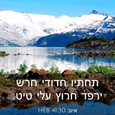 Picture 03 - איוב 41:30 HEB - תחתיו חדודי חרש ירפד חרוץ - Bible Verse Picture