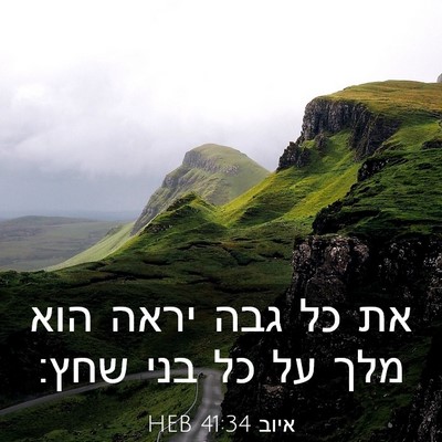 Picture 03 - איוב 41:34 HEB - את כל גבה יראה הוא מלך על כל - Bible Verse Picture