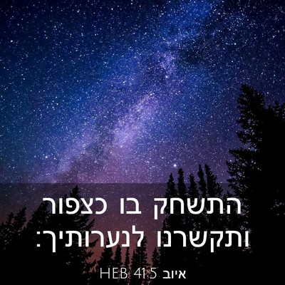 Picture 03 - איוב 41:5 HEB - התשחק בו כצפור ותקשרנו - Bible Verse Picture